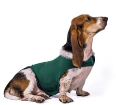 Cozy Comfort Dog Jacket & Vest