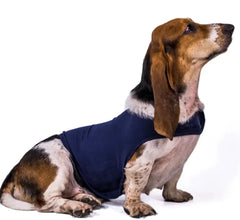 Cozy Comfort Dog Jacket & Vest