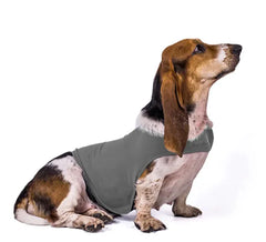 Cozy Comfort Dog Jacket & Vest